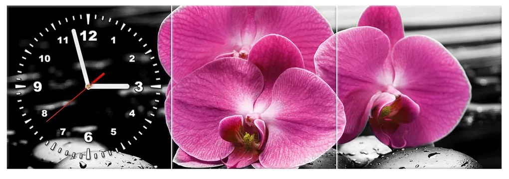 Gario Obraz s hodinami Krásna orchidea medzi kameňmi - 3 dielny Rozmery: 90 x 70 cm
