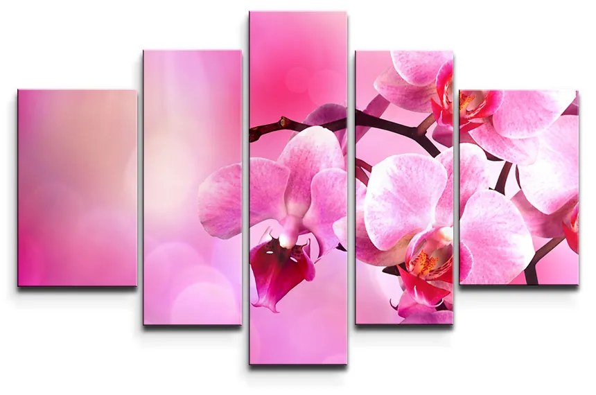 Sablio Obraz - 5-dílný Květy Orchidey - 125x90 cm