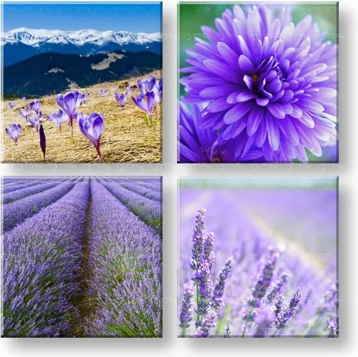 Obraz na stenu Wonderful view 4 dielny XOBKOL25E42