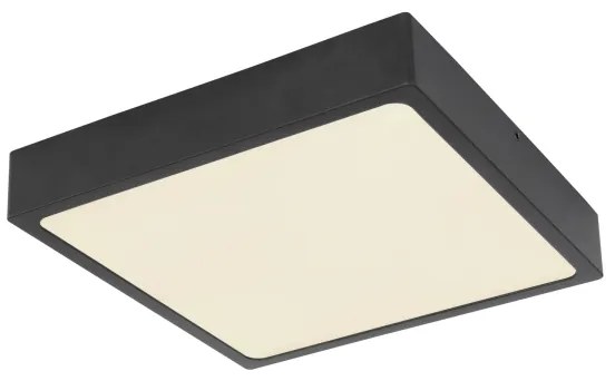 Globo 12369-22 - LED Stropné svietidlo ECHO LED/22W/230V