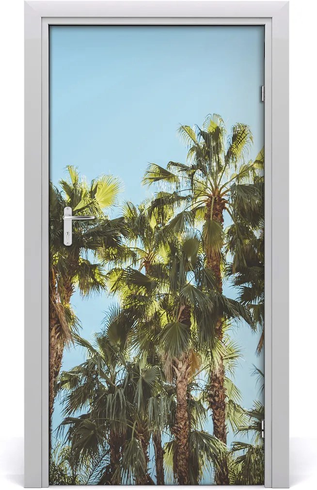 Fototapeta na dvere samolepiace  príroda palmy