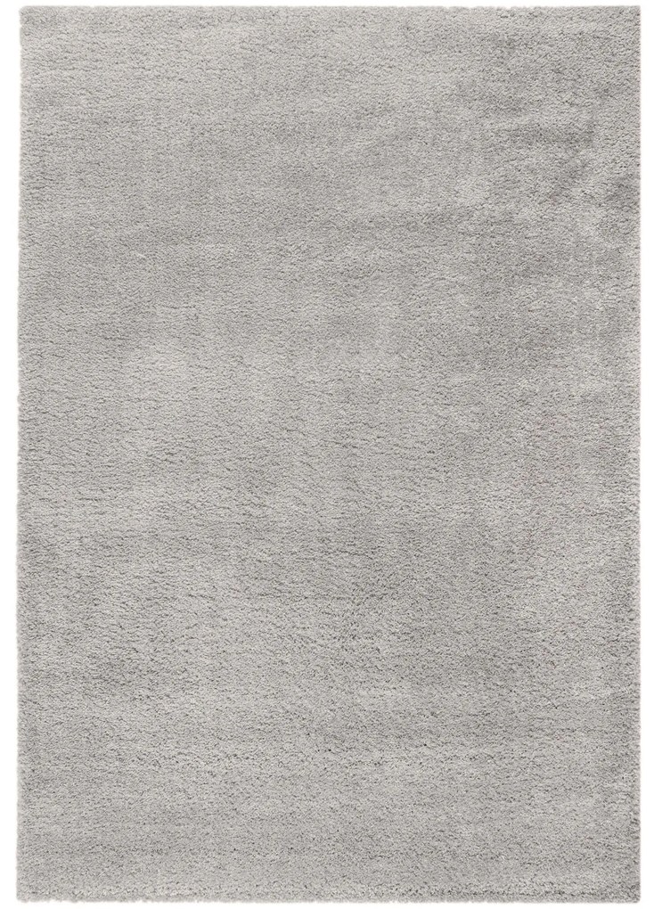 Flair Rugs, Kusový koberec Shaggy Teddy Grey, 200x290, šedá, obývacia izba