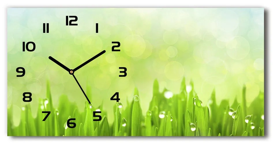 Vodorovné Moderné sklenené hodiny na stenu Tráva pl_zsp_60x30_f_42253578