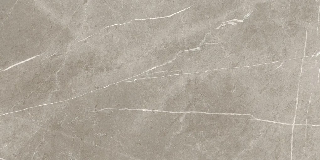 Dlažba Eternal Taupe Natural 60x120 R
