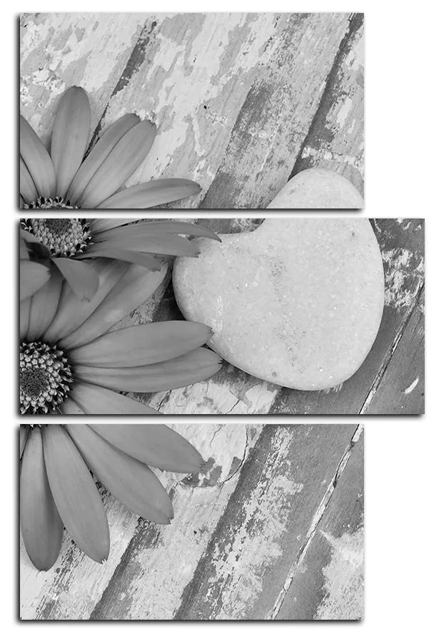 Obraz na plátne - Kvety a kamenné srdce - obdĺžnik 783QC (105x70 cm)