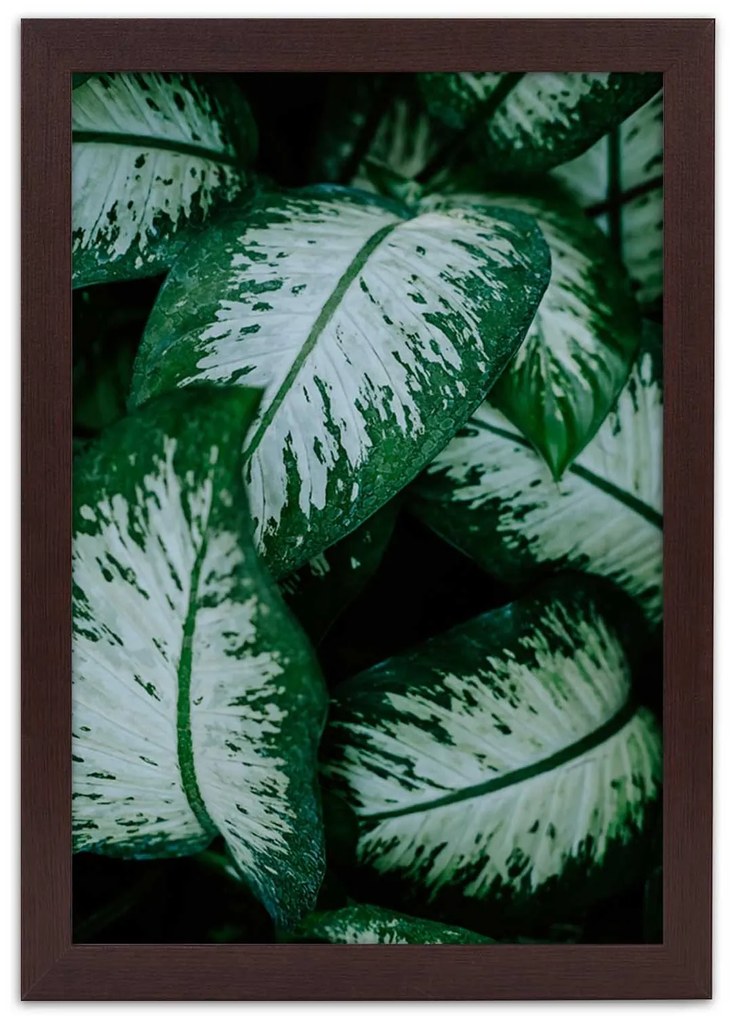Gario Plagát Zelené tropické rastliny Farba rámu: Bez rámu, Rozmery: 30 x 45 cm