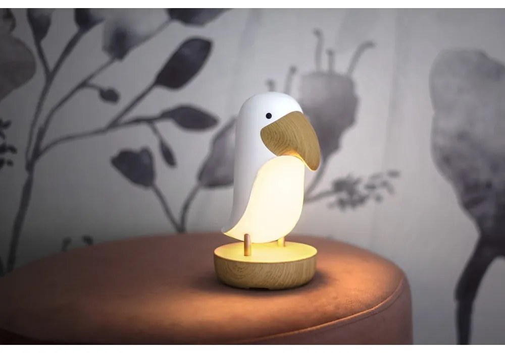 Bielo-hnedé LED detské nočné svetlo Toucan - Star Trading