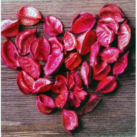 Obraz tlačený na plátne 28x28 PRC134