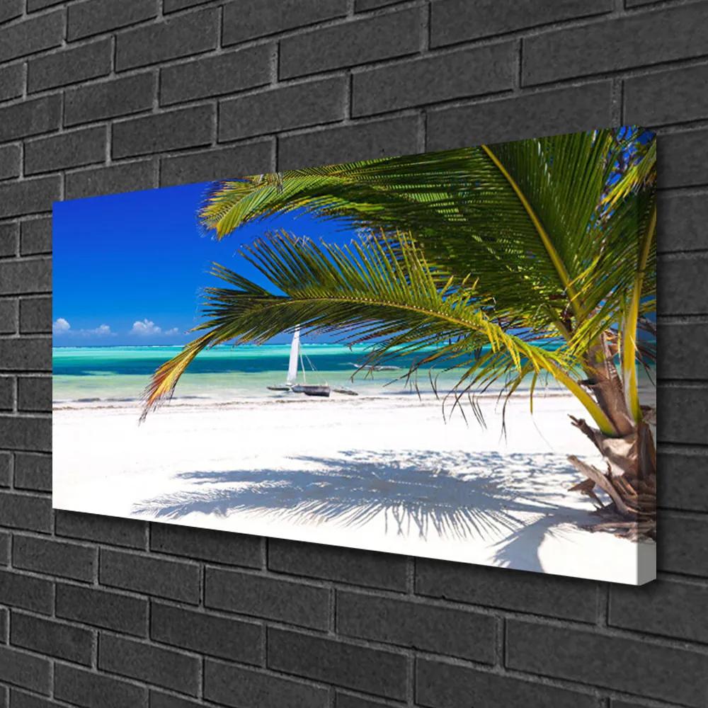 Obraz Canvas Pláž palma príroda 120x60 cm