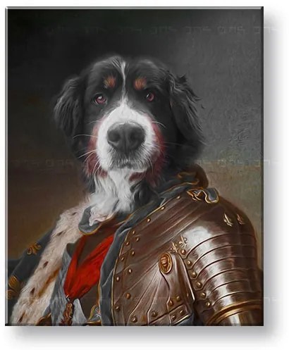 Obraz z fotky na plátne Generál_2 – 50x60 cm | rôzne uniformy