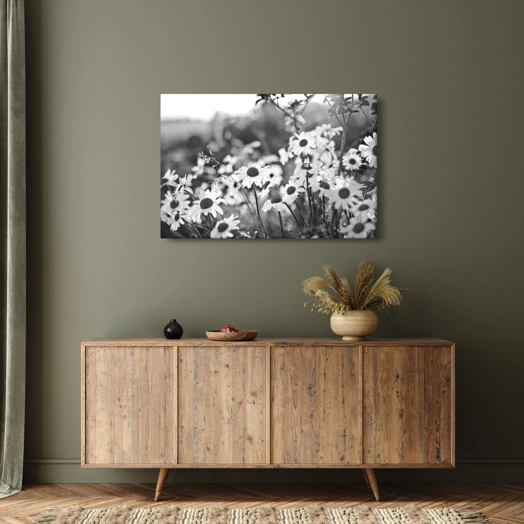 Obraz - Kopretiny (90x60 cm)