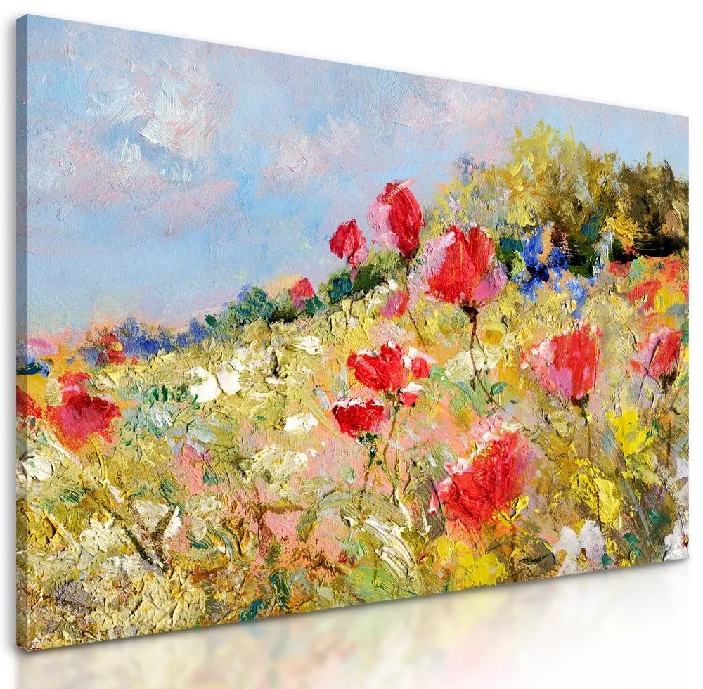 Obraz divé maky na lúke