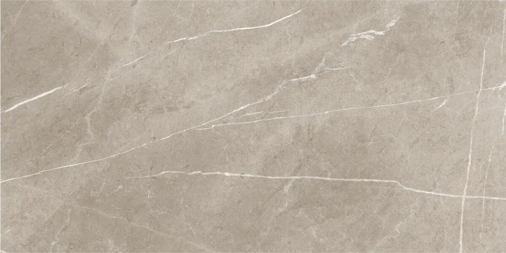 Dlažba Eternal Taupe Pulido 60x120 R