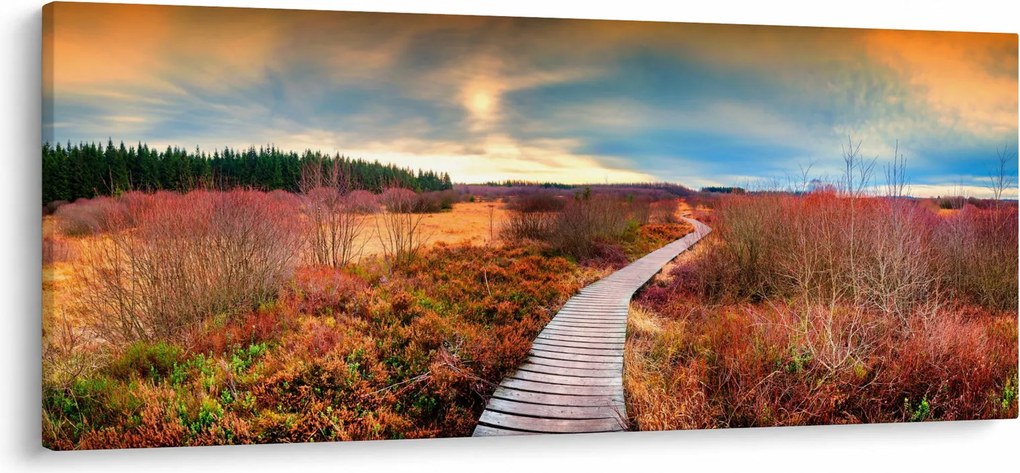 Obraz - Jesenná cesta krajinou (120x50 cm)