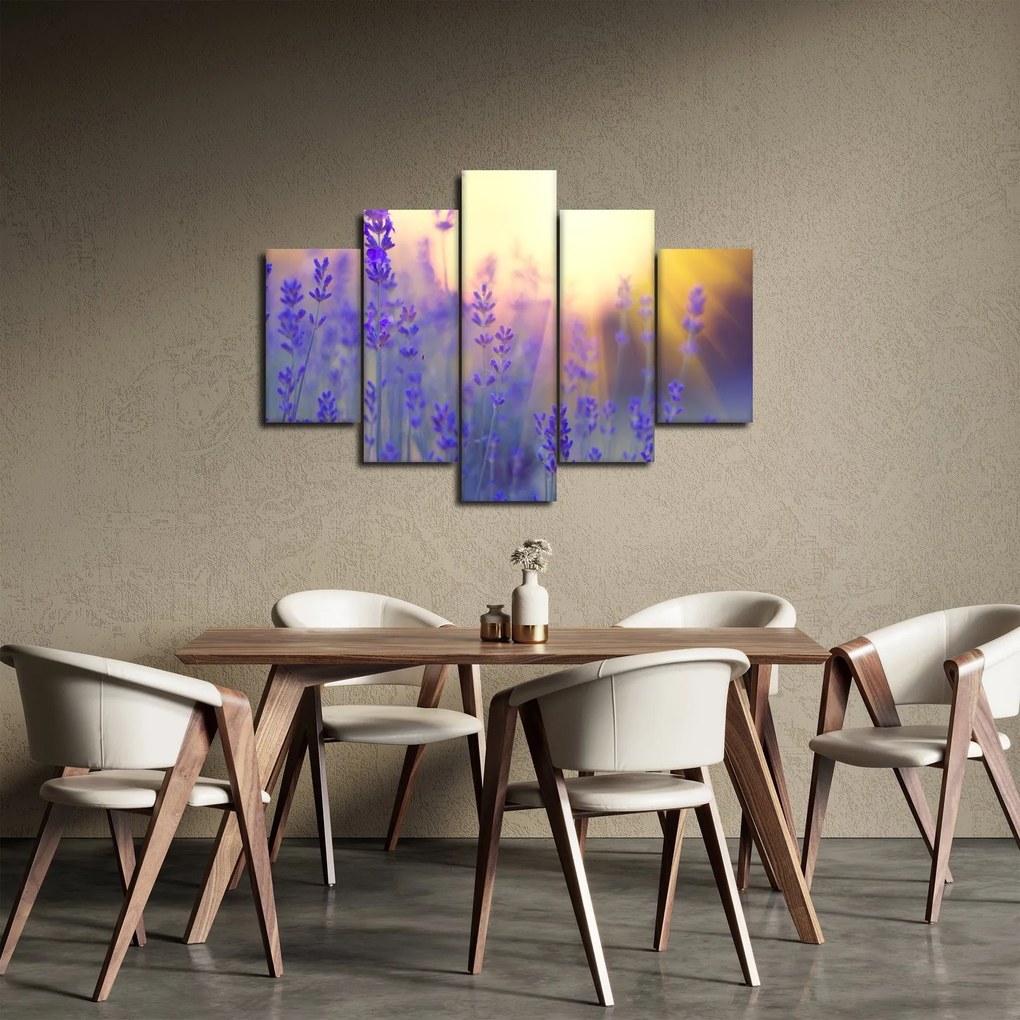 Obraz - Levanduľa (150x105 cm)