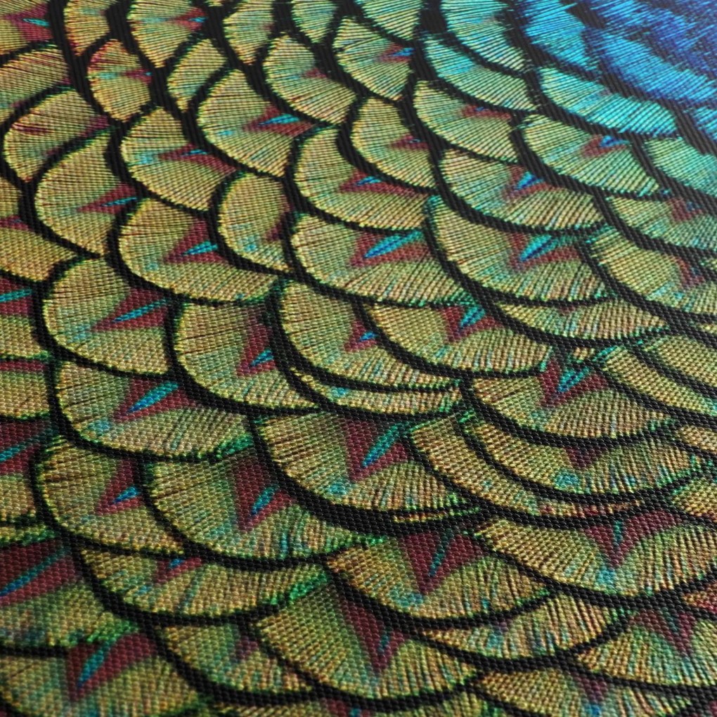 Obraz - Pávie perie (90x60 cm)