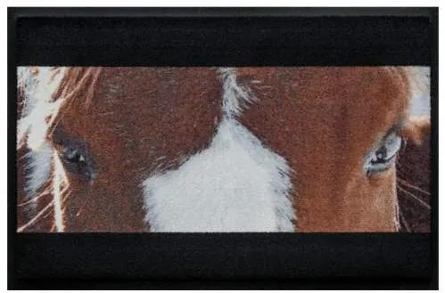 Premium rohožka- zvieratá - strakatý kôň (Vyberte veľkosť: 100*70)
