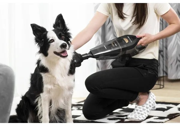 Concept VP4353 Ručný vysávač WET & DRY RISER EXTENSION 110W/18,5V 2200 mAh čiern