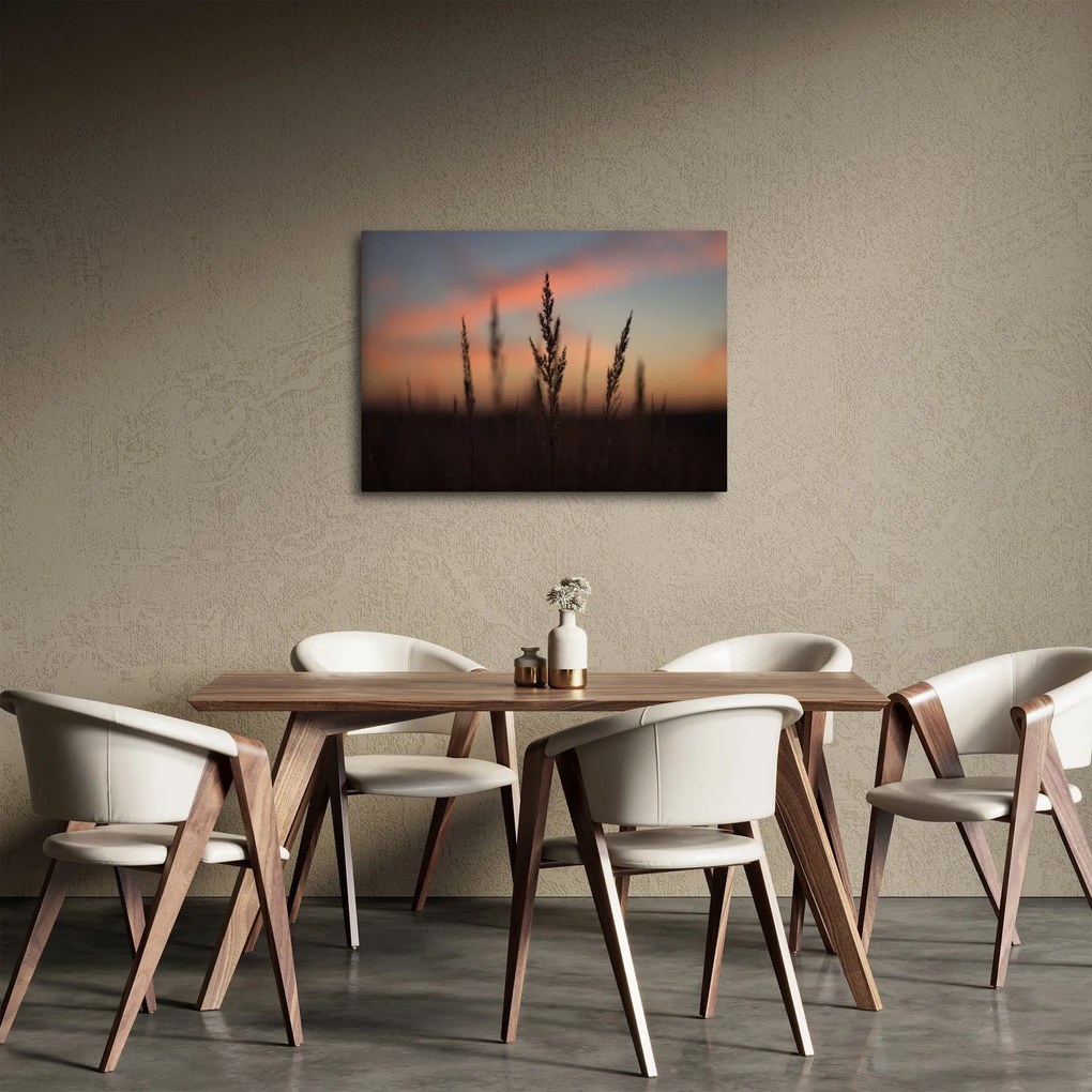 Obraz - Silueta rastliny (70x50 cm)