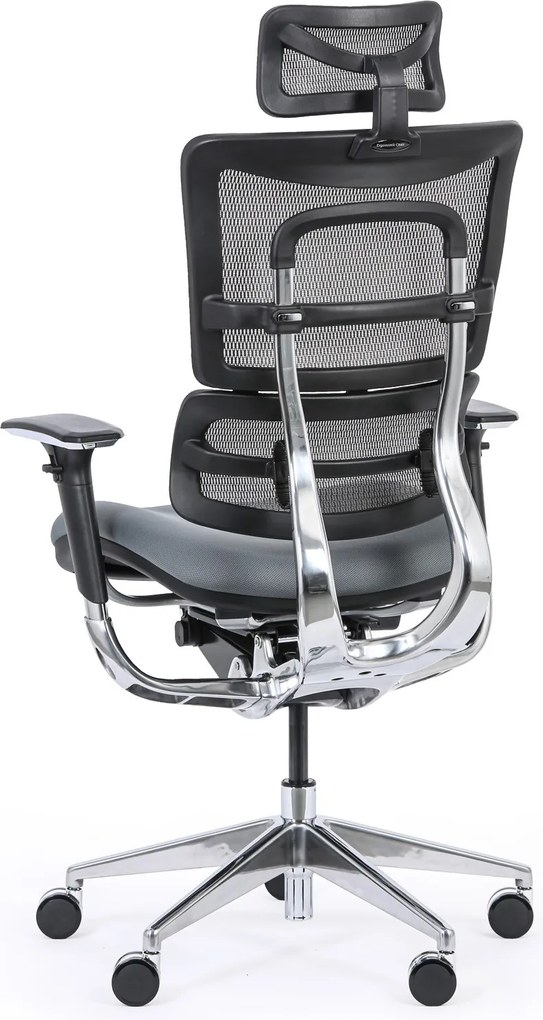 Multifunkčná kancelárska stolička WINSTON SAB, sivá