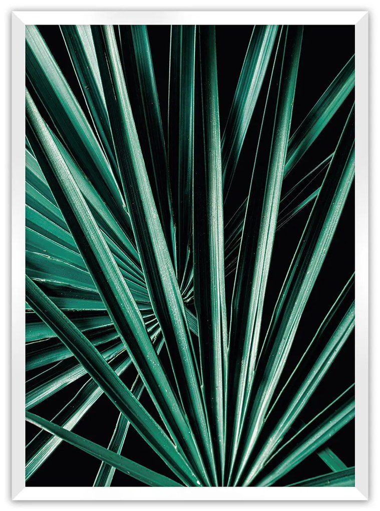 Plagát Dark Palm Tree
