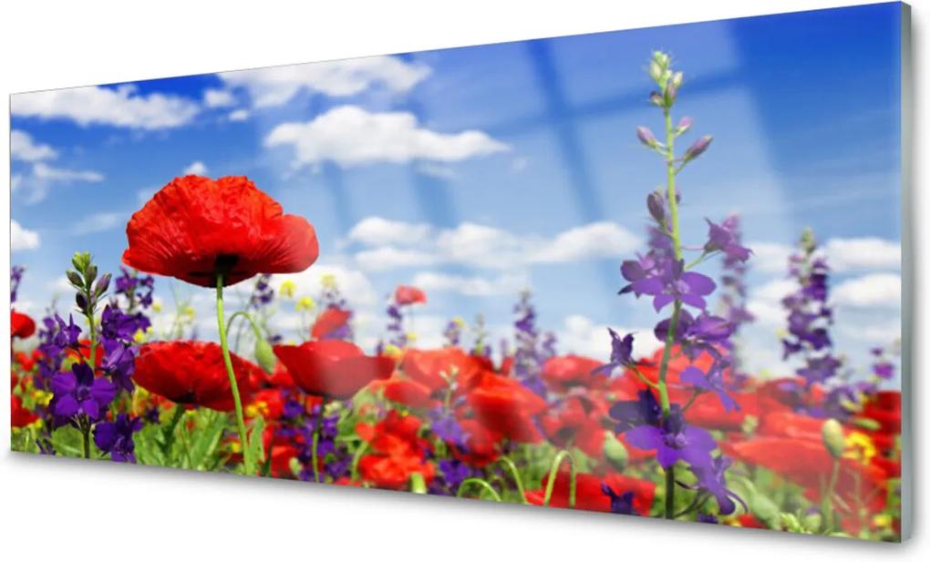 Obraz na skle Skleněný květiny