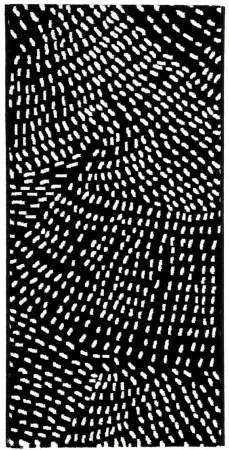 Koberce Breno Kusový koberec INK 463 007/AF900, čierna,200 x 290 cm