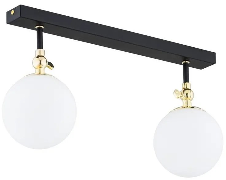 Argon 846 - Kúpeľňový prisadený luster LATINA 2xE14/40W/230V IP44