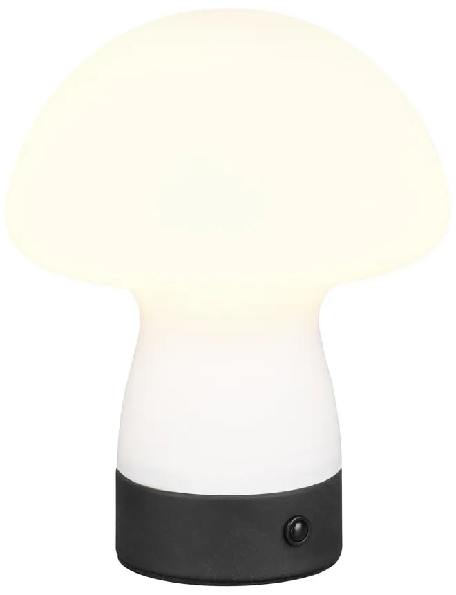 Matne biela LED stolová lampa so skleneným tienidlom (výška 18 cm) Dooley – Reality