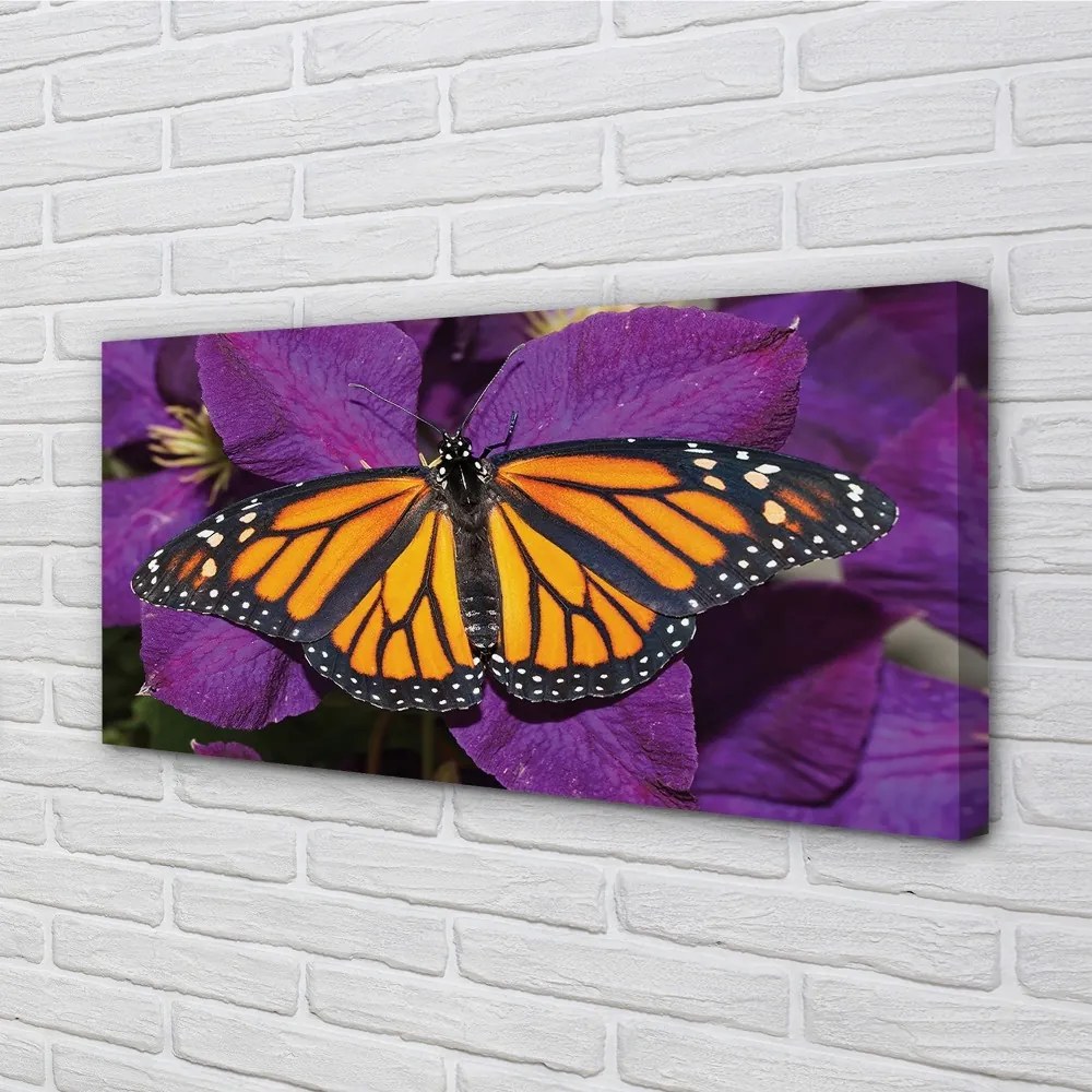Obraz na plátne Farebný motýľ kvety 140x70 cm