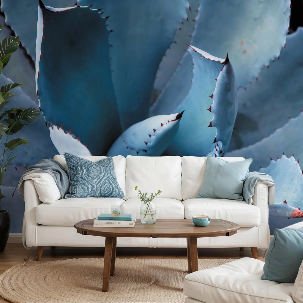 Fototapeta - Agáve (147x102 cm)