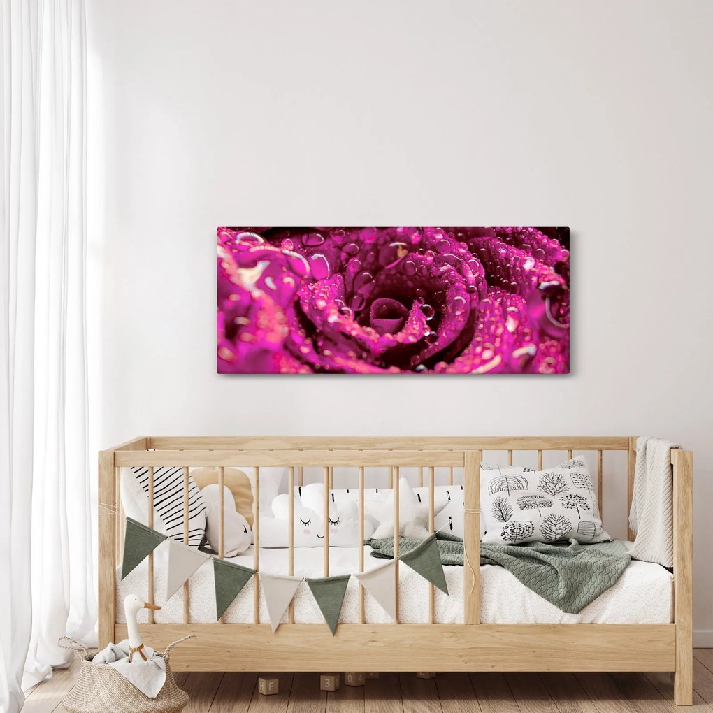 Obraz ružového kvetu ruže (120x50 cm)