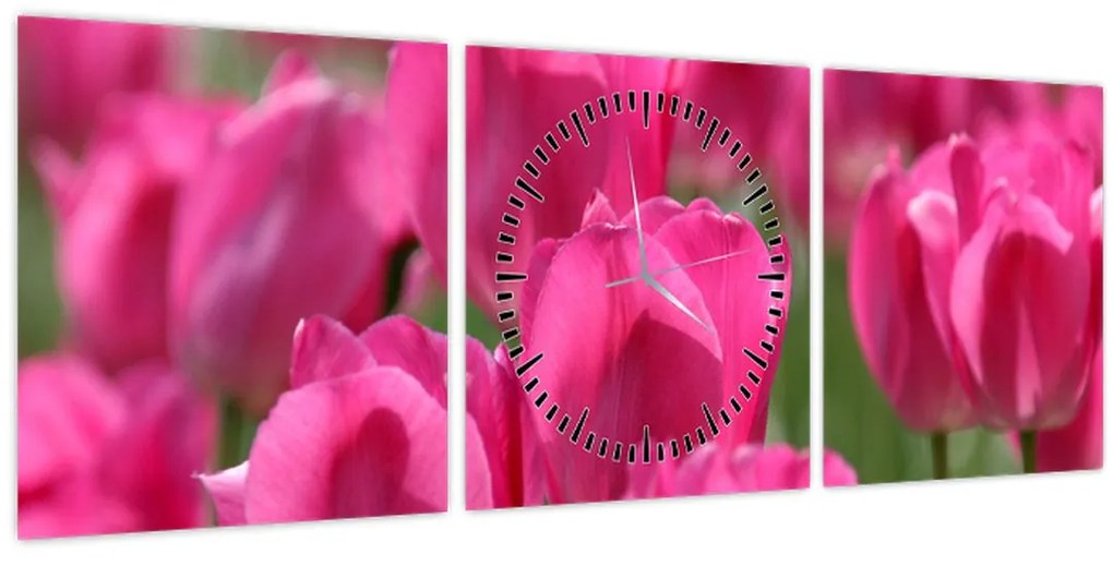 Obraz - Ružové tulipány (s hodinami) (90x30 cm)