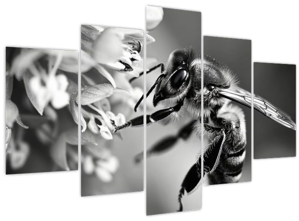 Obraz - Detail včely (150x105 cm)