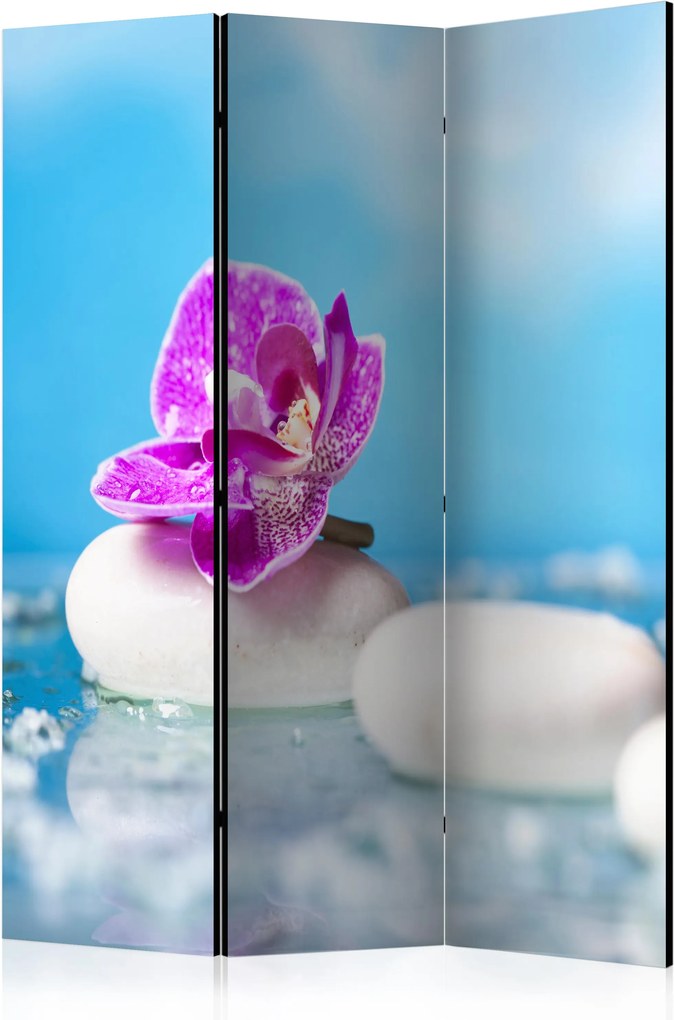 Paraván - Pink Orchid and white Zen Stones [Room Dividers] 135x172 7-10 dní