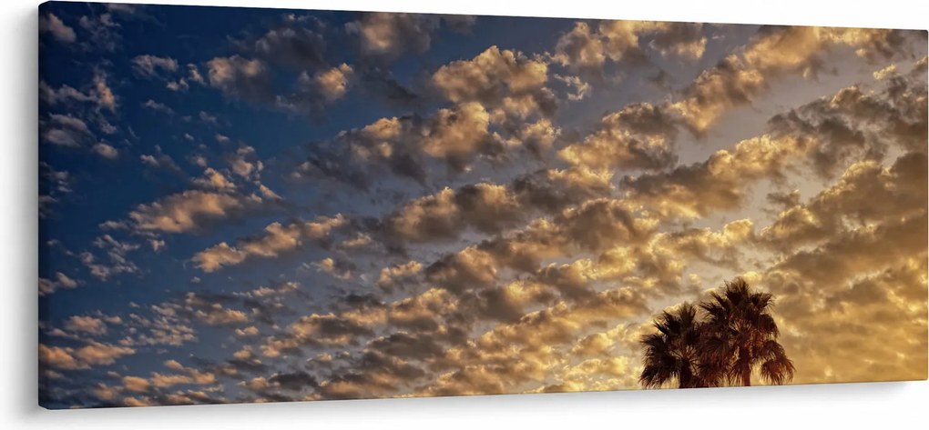 Obraz - Palmy medzi mrakmi (120x50 cm)