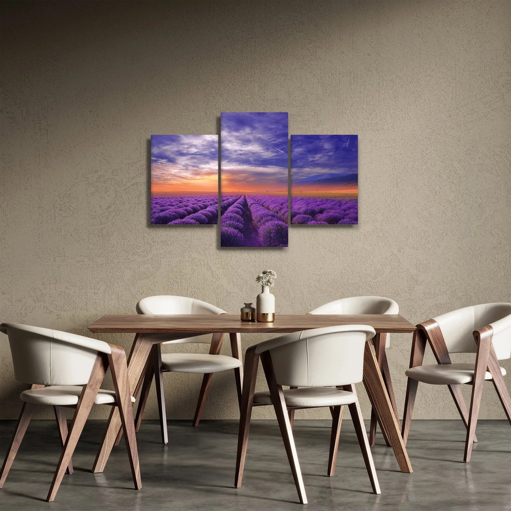 Obraz levanduľového pole (90x60 cm)