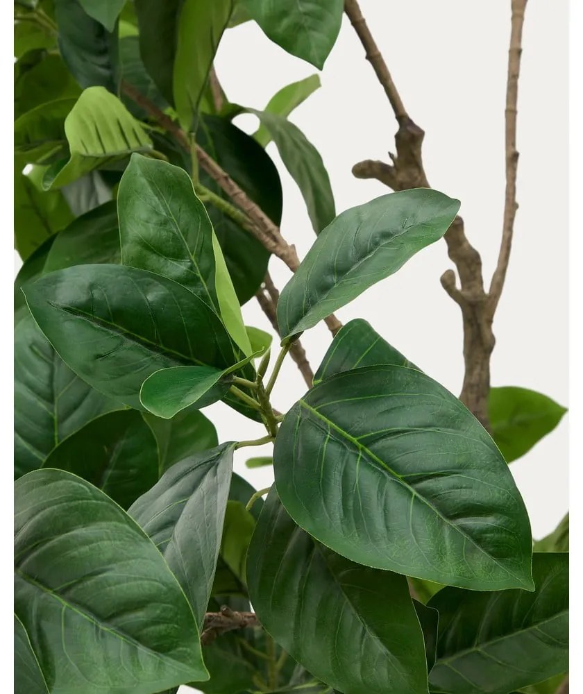 Umelý fikus (výška 210 cm) Ficus – Kave Home