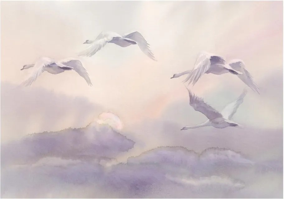 Veľkoformátová tapeta Bimago Flying Swans, 400 x 280 cm