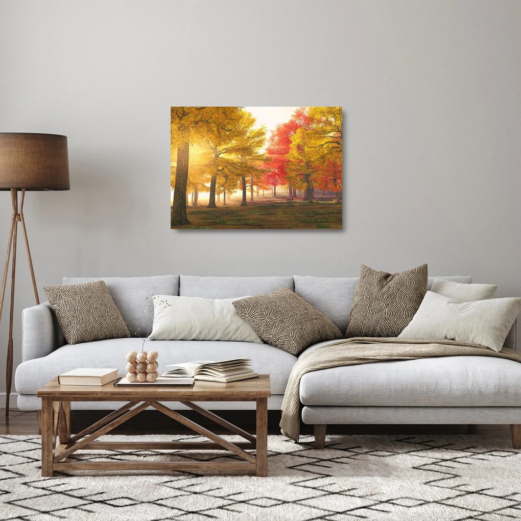 Sklenený obraz jesenných stromov (70x50 cm)