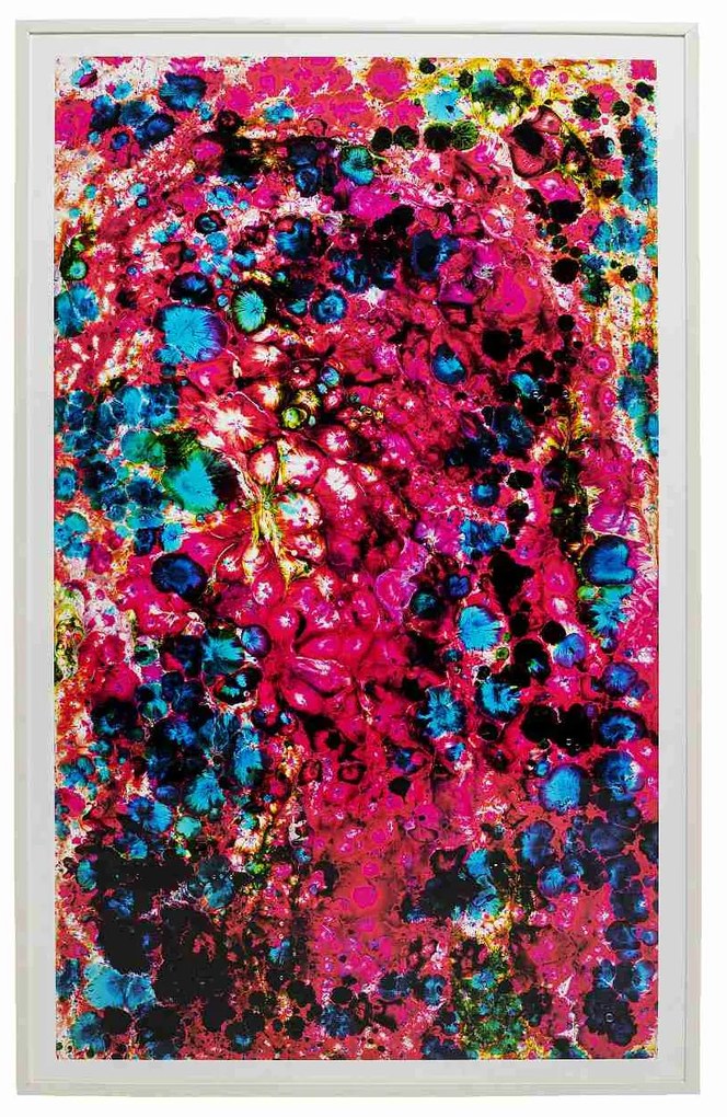 Wild Berries obraz viacfarebný 205x125 cm