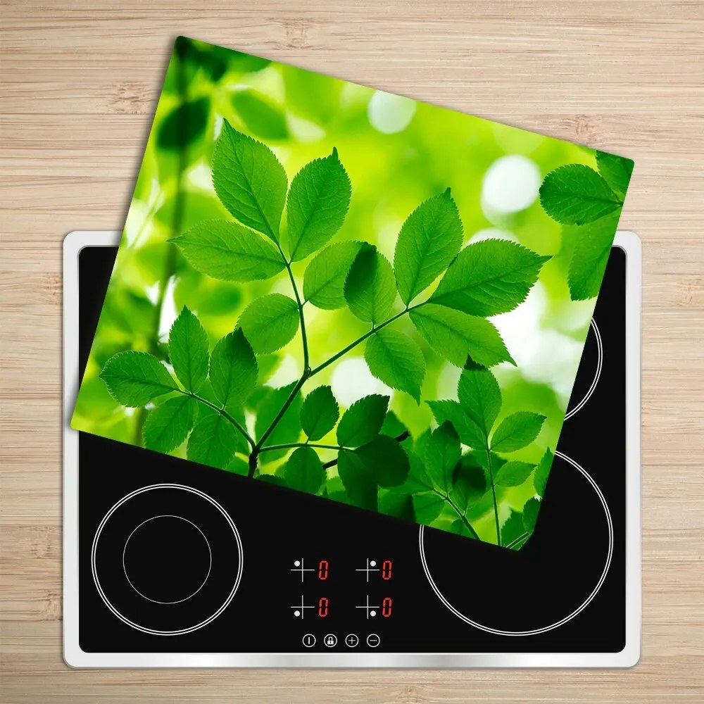 Sklenená doska na krájanie Zelené listy 60x52 cm