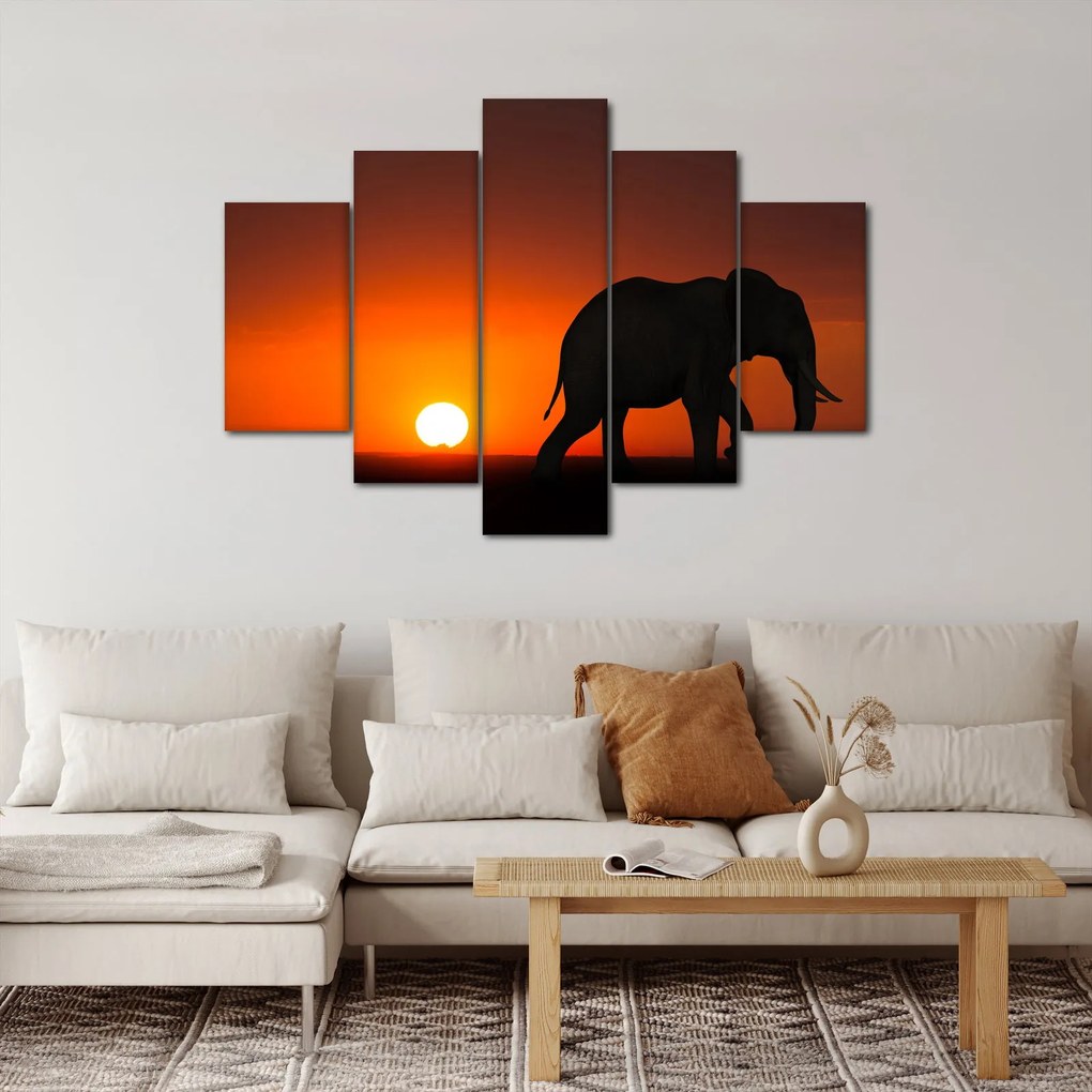 Obraz slona pri západe slnka (150x105 cm)