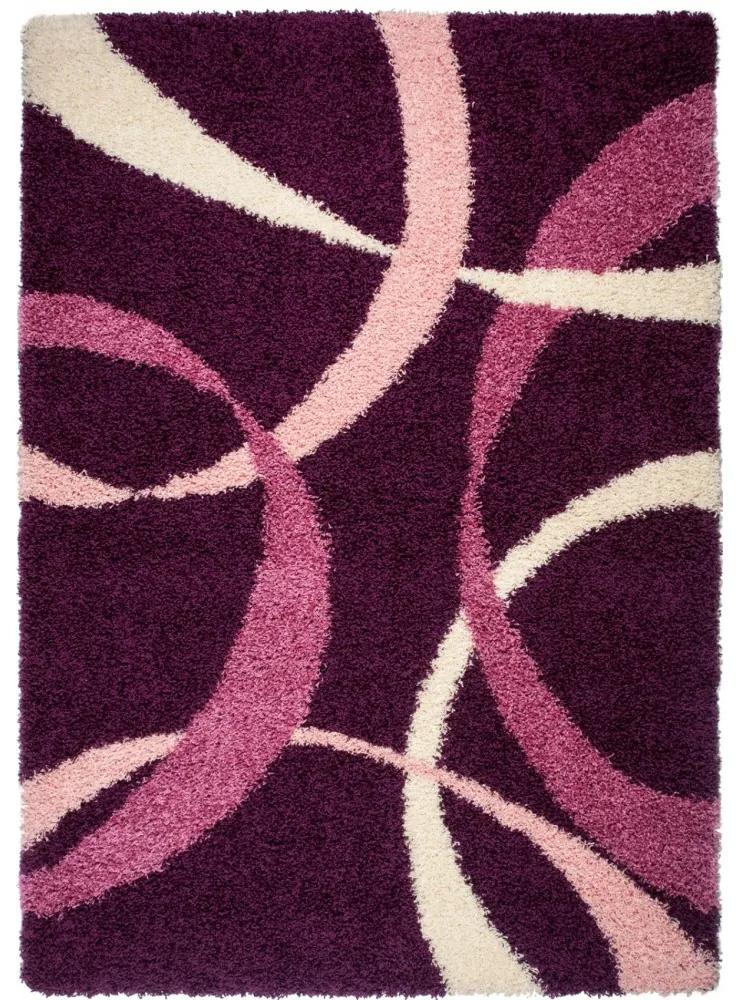 Kusový koberec Shaggy Basileo fialový, Velikosti 240x330cm