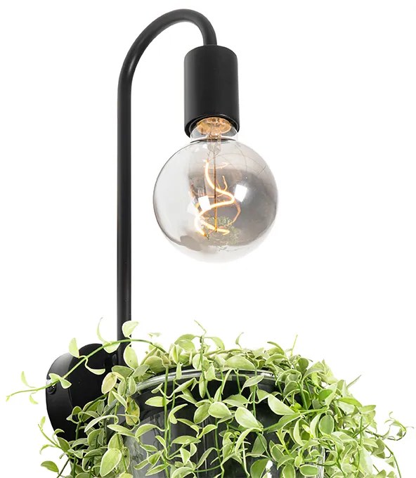 Moderná nástenná lampa čierna so sklom - Roslini
