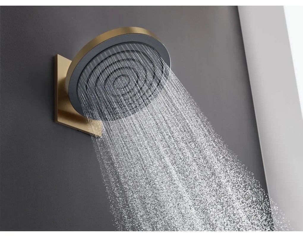 Hansgrohe Pulsify S, hlavová sprcha 260 1jet EcoSmart, kartáčovaný bronz, HAN-24141140