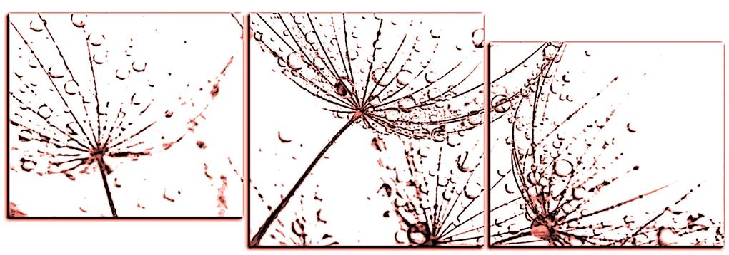 Obraz na plátne - Pampeliškové semienka s kvapkami vody - panoráma 5202KE (120x40 cm)