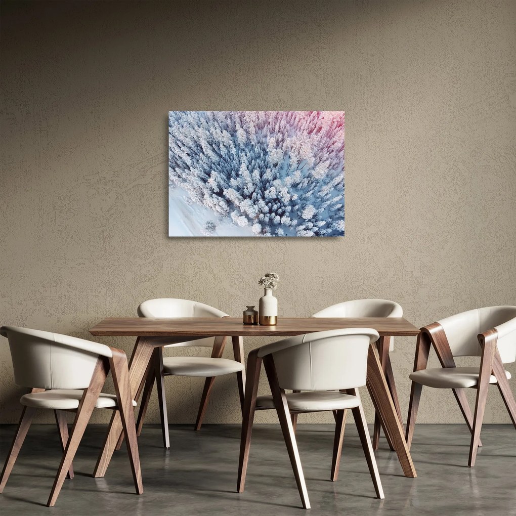 Sklenený obraz zasnežených stromov (70x50 cm)