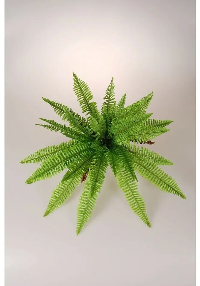 Umelé Papradie, pr. 85 cm