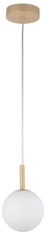 Luster na lanku GAMA 1xG9/12W/230V zlatá